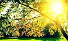 如何在周末给亲友发关心问候短信，让TA们感受到你的温暖与关爱？