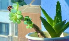 通过写下励志短句，让自己变得更加坚强、自信、勇敢和积极向上，激励自己去追求成长与成功的无限可能！