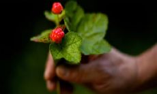 用隐晦的语言表达忧伤情感的句子