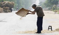 读到描写空巢老人令人感伤的表达方式