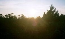 炎热的天气无法削弱玩乐的热情：在高温中尽情地享受快乐时光