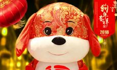 用狗年红包拜年的口号，祝福2020年春节快乐！