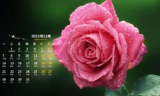 朋友圈诱人入眠的欢乐句子——晚安语录推荐！