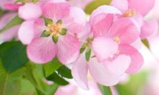 25句唯美动人的关于亲情的句子，为你的心灵注入温情和力量