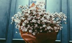 一些关于心情满意和快乐的句子，让你的生活变得更加愉快和美好