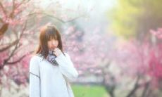 展现时光美妙之美：收录悦耳动人的关于最美时光的精美语句