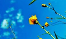 以爱、亲情和团结为主题的启示性句子