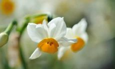 天气转凉，快来收到客户的贴心降温问候短信吧！