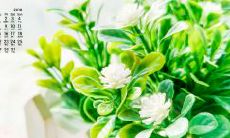 汇总一些优美的名句，表达对亲情的思念和赞美