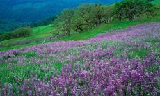 让英语小组充盈活力的精妙口号巧思