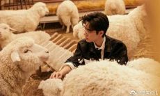 掌握超拽高冷口才的16个句型，让你成为聚会上的话题王者！