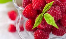 我度过了一个悠闲愉快的周末，随性自由地享受着每一刻！