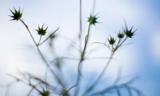 如何朗读有关亲情的句子？掌握这些技巧，让你的亲情朗诵更加动人！