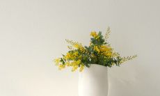 迷人至极的音乐之美：富有诗意的关于音乐的句子