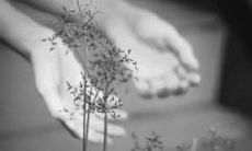 令人心碎而又美丽的句子