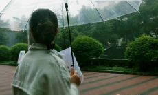 展现温暖关怀心意，送给你最美好的祝愿——愿你一切平安、一切顺遂、一切幸福！