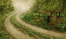 掏心挖肺的表达自己内心深处的痛楚之言——道出亲情对内心造成的创伤