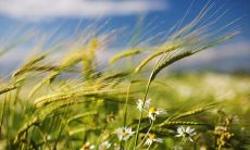 与好友分享快乐的话语，畅谈内心情感