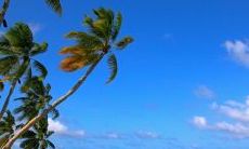 五一节后慰问及返岗祝福的长短信模板