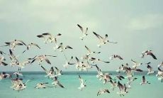 探讨失望透彻姐妹关系的句子，表达心中真实感受