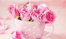 一些描述亲情的思念之句，逝者永恒，留给我们的是深情厚爱与无尽怀念