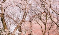 无忧无虑的时光里，幸福才是真正的风景：一组让人感到唯美快乐的句子