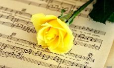 如何在短信中给客户发送简洁而有用的问候信息？