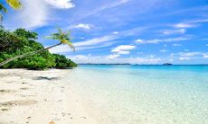 夏季酷热如火的句子：烈日炽热、沸腾的热气扭曲路面、热浪滚滚、汗如雨下、闷热难耐、烈日高照、火热的天气让人喘不过气来、炎热如炉的夏季、烈日烤焦着大地、一片蒸笼般的炎热、夏季的炎热让人心烦意乱