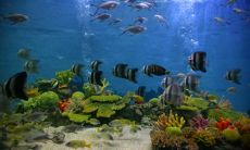 时间的爱情慢慢转变成持久友情的引人深思的话语