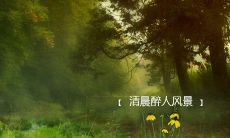 每日早晨励志鸟句，打开能量宝藏！