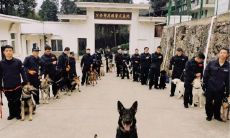 展现对警察无限敬意的经典语句，用于庆祝警察节的社交媒体文案分享