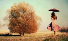 绝望不已的句子，表达了在爱情中的无奈感受