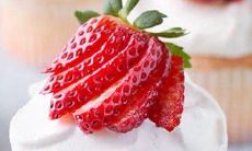 在探讨与庆祝人际关系中的友情，以情为话题的深刻哲思与感性叙述