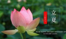 以温馨的图片短句传送立夏问候，让您倍感温暖！