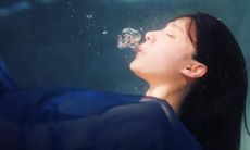 情至深处，痛入心扉：令人心痛的伤感句子