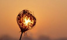 探索QQ空间中那些令人感动的、饱含情感的情话，让你心灵受到深深触动的故事和感人经历