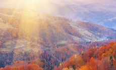 霓虹灯和星星的璀璨秀，闪烁如梦幻般的光辉，映照出万物生灵的美丽世界