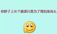 言辞精妙，不含污秽之辞的斥责语句