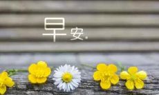 无伤大雅的良善之言——2022年最新、温暖而励志的早安句子推荐