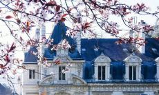 一些温馨感人的句子、诗歌和歌曲词，描述亲情的珍贵与不可替代性