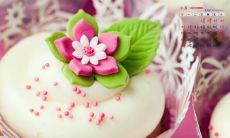 收集各类低落情绪的句子，为你的情感表达增添句式多样性