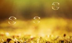 一系列充满祝福和喜悦的句子，让您心情愉悦且满怀幸福的情感！