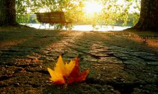 我们的人生旅途，注定要走过无数条路程