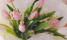 用华丽文字发送的三八妇女节最美问候祝福手机号信息