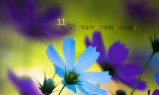 在生活中向朋友传递快乐：用祝福的语言让朋友开心的句子