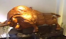 从牛那里了解吉祥含义：源于牛的成语集锦