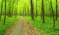 夏季精彩绝伦，美丽愉悦的心情让人无限欢畅