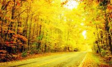 用精心构思的文字传达情感的问候短信