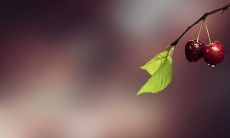 Heartfelt English Sentences to Express Gratitude and Family Ties