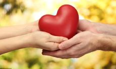 以含有“感恩老师”的句子为核心，使用花相关的词汇进行改写，制造一个拉长标题的效果：感恩老师的辛勤付出，如同一朵含苞待放的花儿般，我们永远铭记！